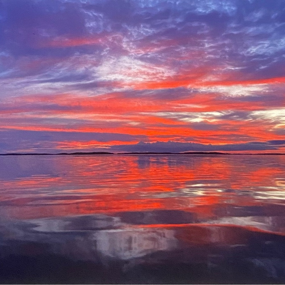 Meet your Posher, Sophia